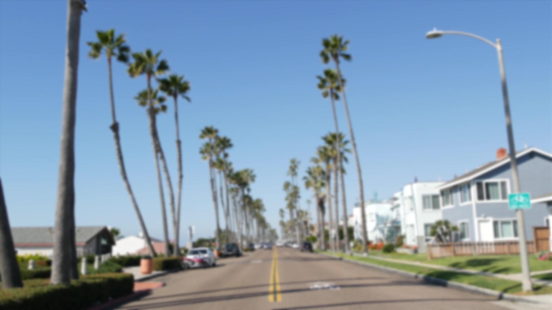 热带海洋海滩有棕榈树道路视频的预览图