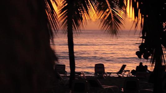 日落加勒比海边的浅棕榈树视频的预览图