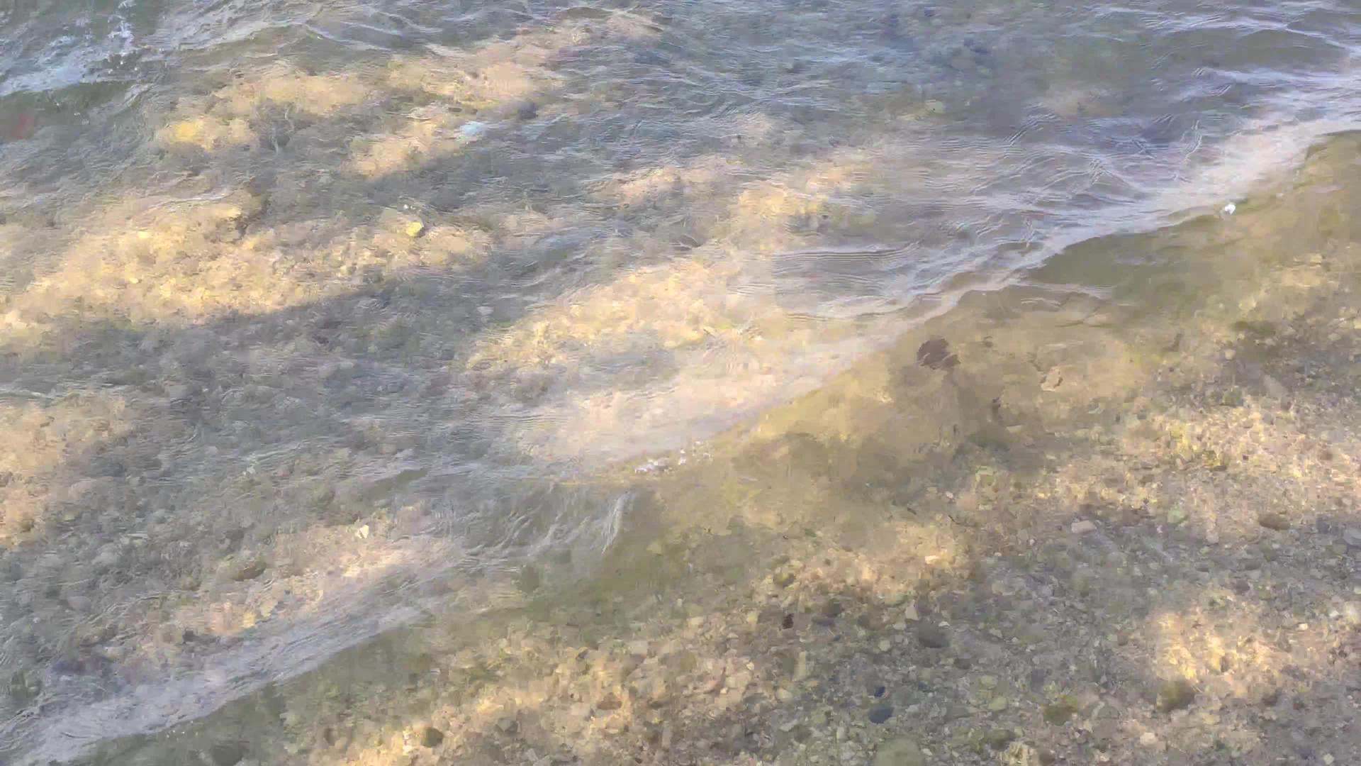 加尔达糊水质视频的预览图