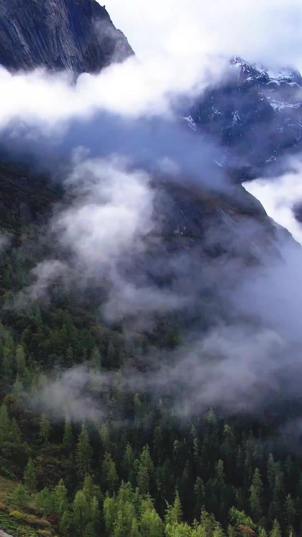 航拍四姑娘山外婆阿峰雪山及秋色景观素材视频的预览图