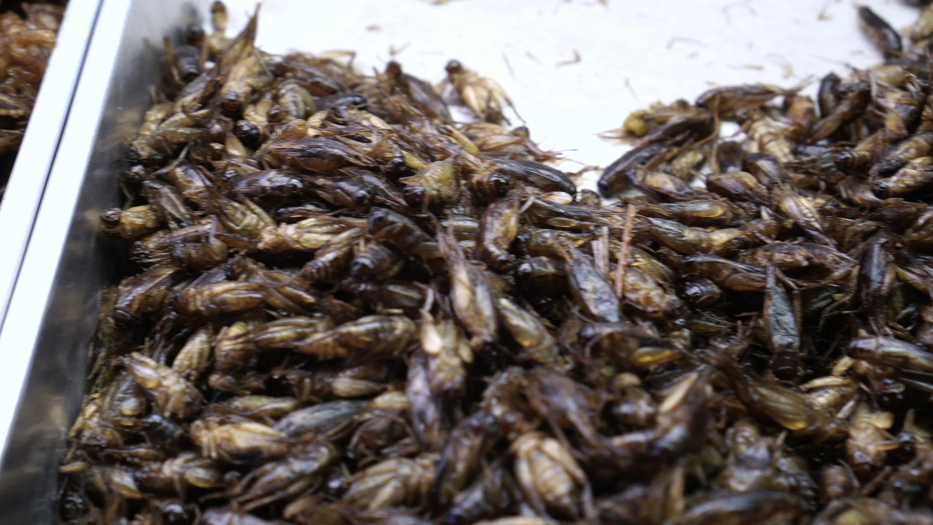 泰国街头食品深炸昆虫超级食品视频的预览图