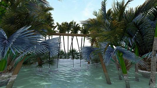高清唯美椰子树视频的预览图