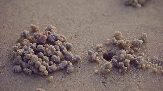 小螃蟹日落时在沙滩上做沙子视频的预览图
