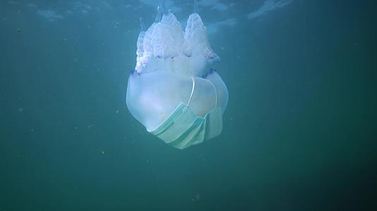 在黑海(Rhizostomapulmo)它通常被称为桶状水母和易口水母)漂浮在水的厚度上视频的预览图