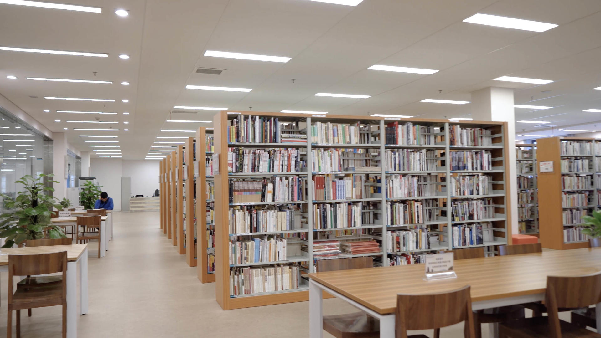 图书馆内部环境书柜空镜头视频的预览图