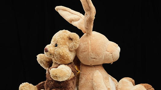 长耳兔和泰迪熊在黑色背景下旋转视频的预览图