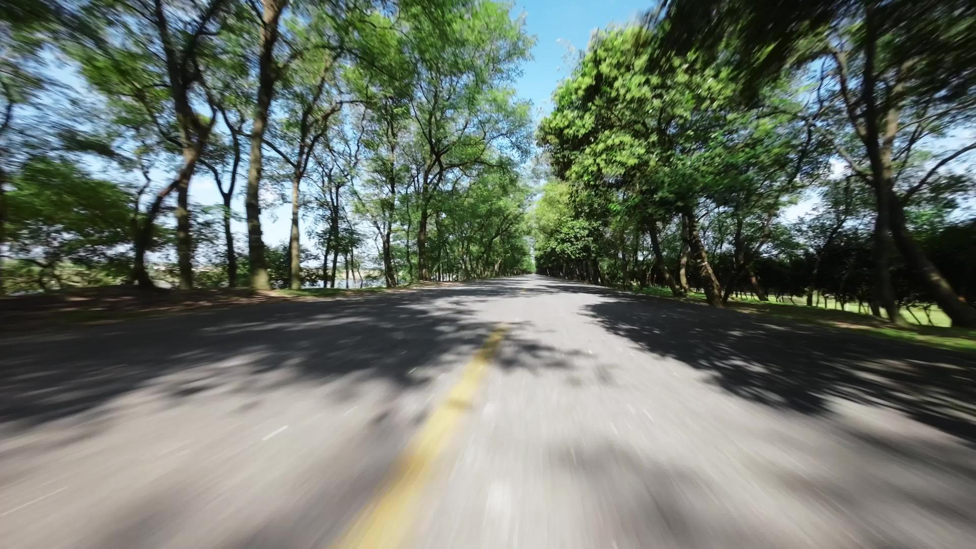 穿越机穿梭于阳光明媚的林荫大道中视频的预览图