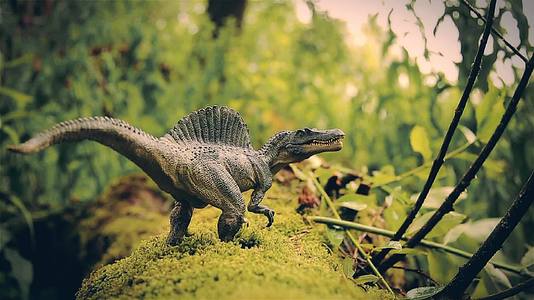 最大的食肉恐龙脊椎动物儿童玩具复活视频的预览图