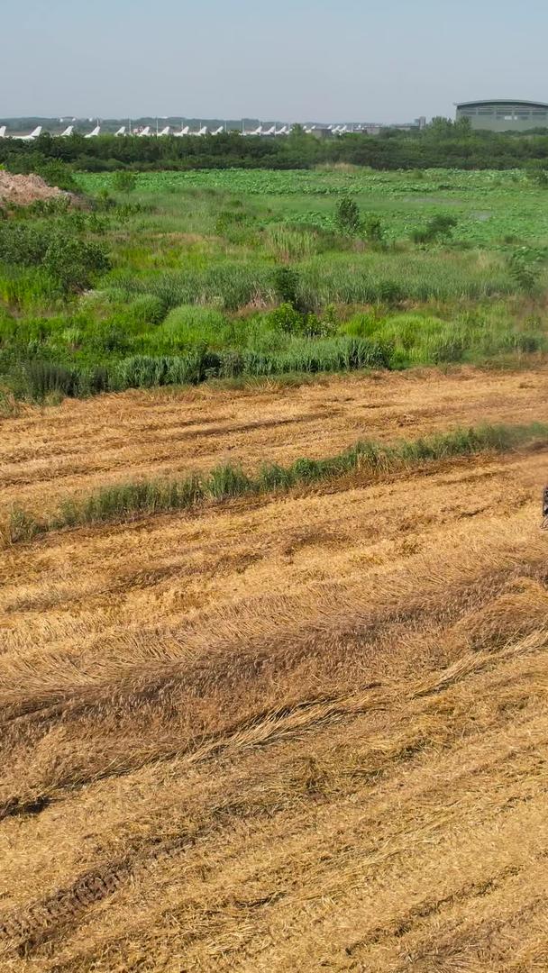农业机械化航拍农业收割机在农田收割小麦丰收场景视频的预览图