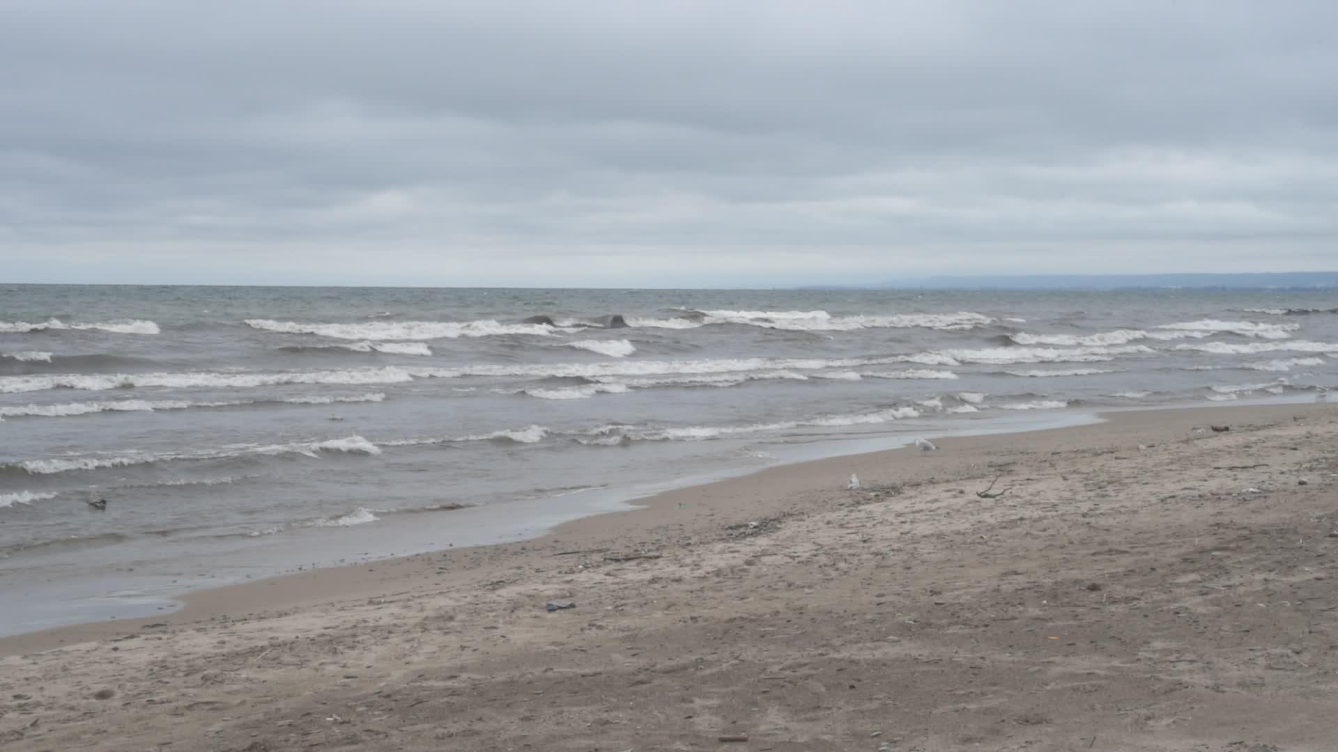 海浪在风天的沙滩上冲浪视频的预览图
