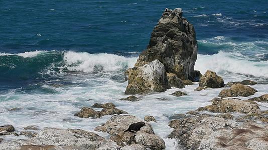南岛的岩石形成受到海豹和强浪的影响视频的预览图