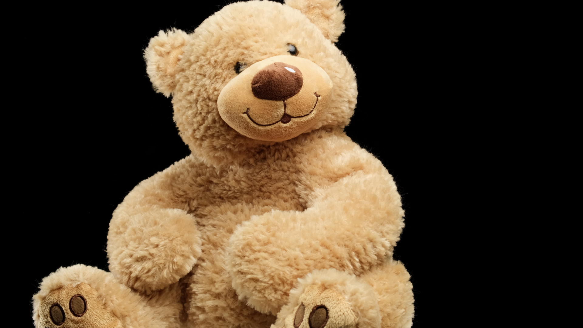 大棕色泰迪熊视频的预览图