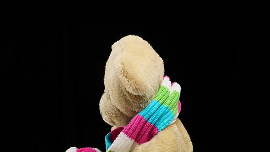 棕色的熊了一条彩色围巾在黑色背景上旋转视频的预览图