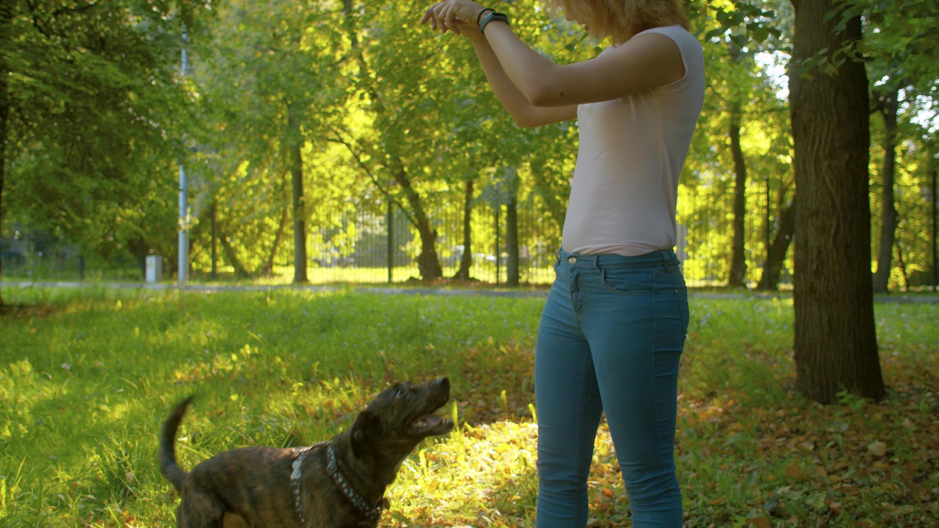 训练养狗的漂亮女孩视频的预览图