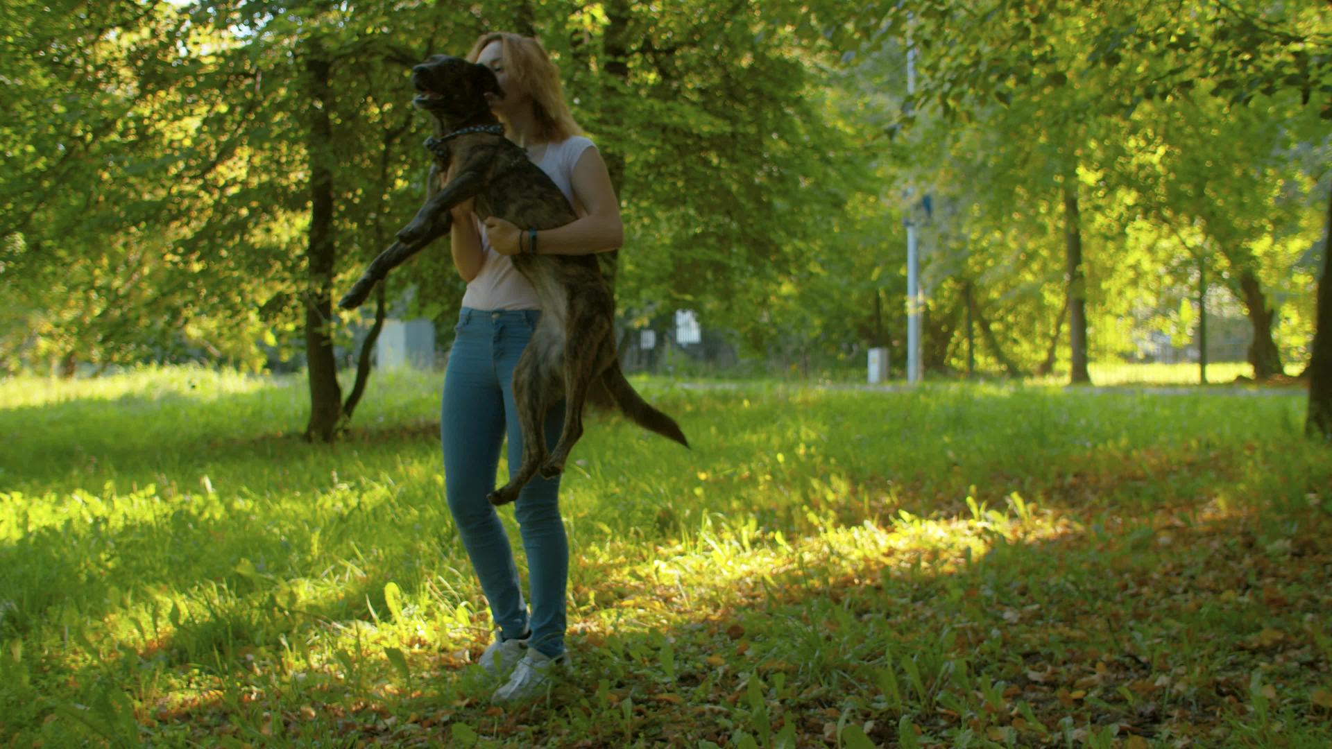 公园里美丽的女孩和狗视频的预览图