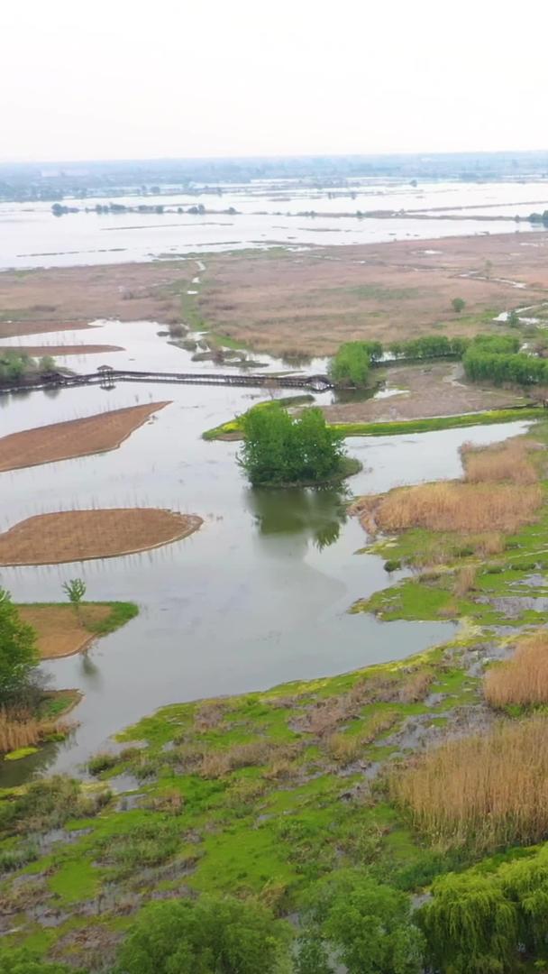 5A宿迁洪泽湖湿地国家自然保护区景点芙蓉湾视频视频的预览图