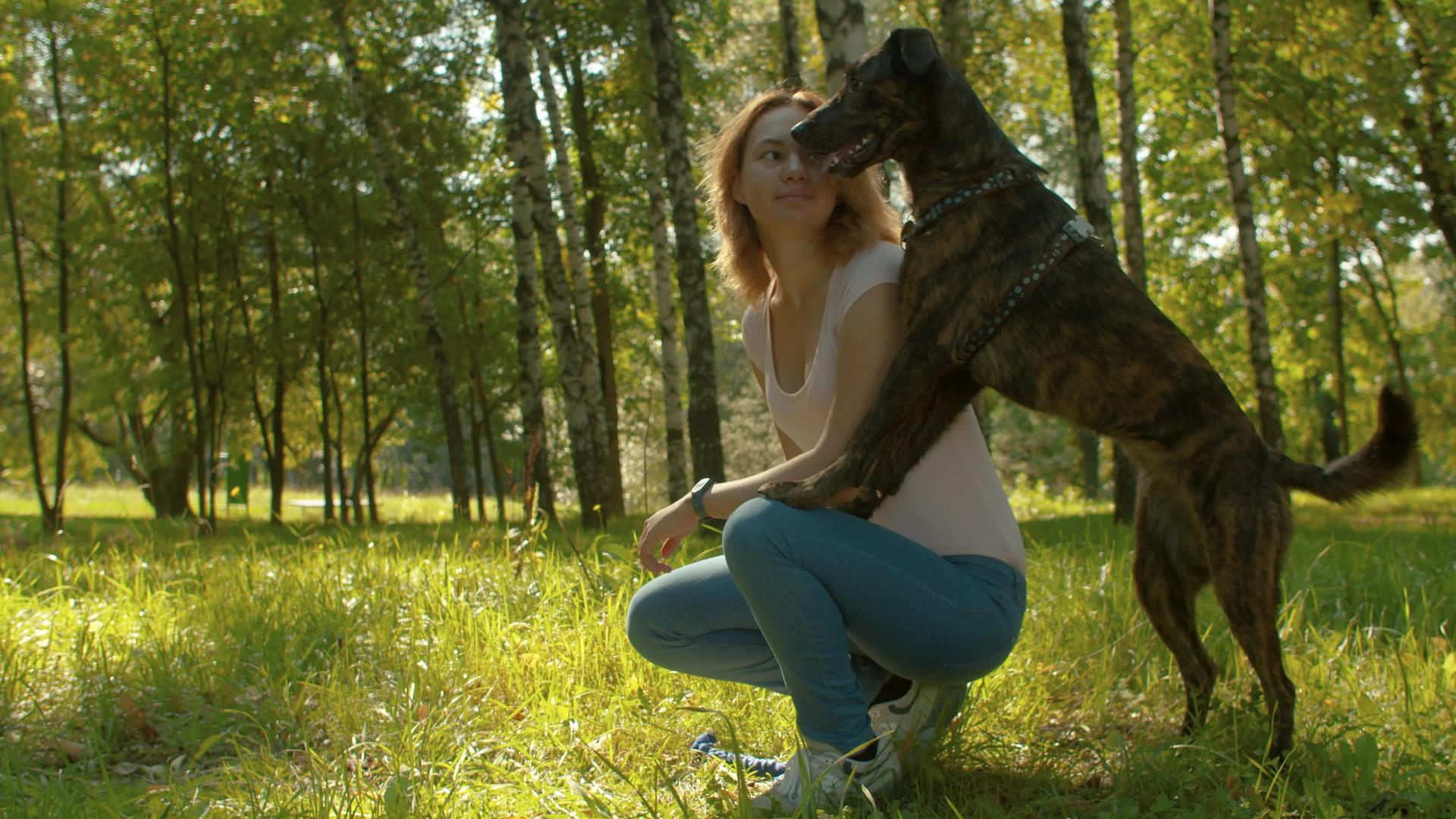 狗和狗的主人坐在公园里视频的预览图