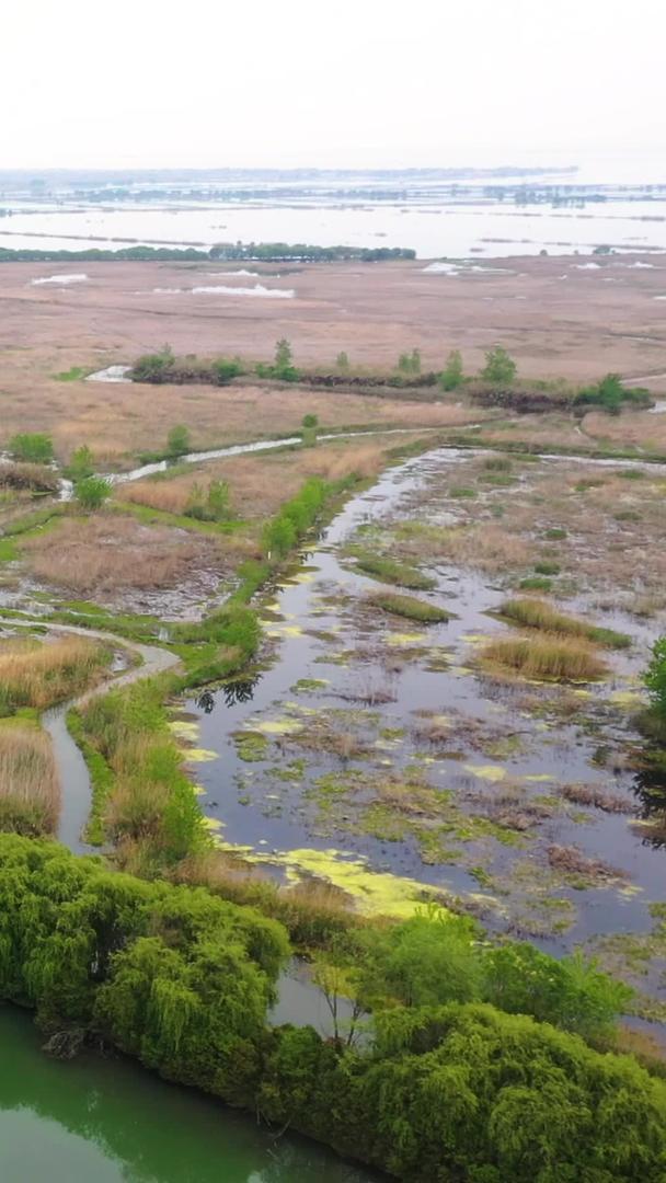 5A宿迁洪泽湖湿地国家自然保护区景点芙蓉湾视频视频的预览图