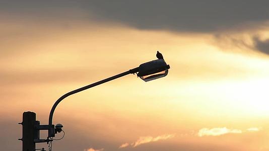 路灯照在街道上背景日落照耀着鸽子从空中飞过视频的预览图