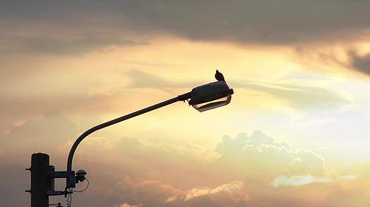 在街道照明和背景日落的鸽子上云在天空中迅速移动视频的预览图