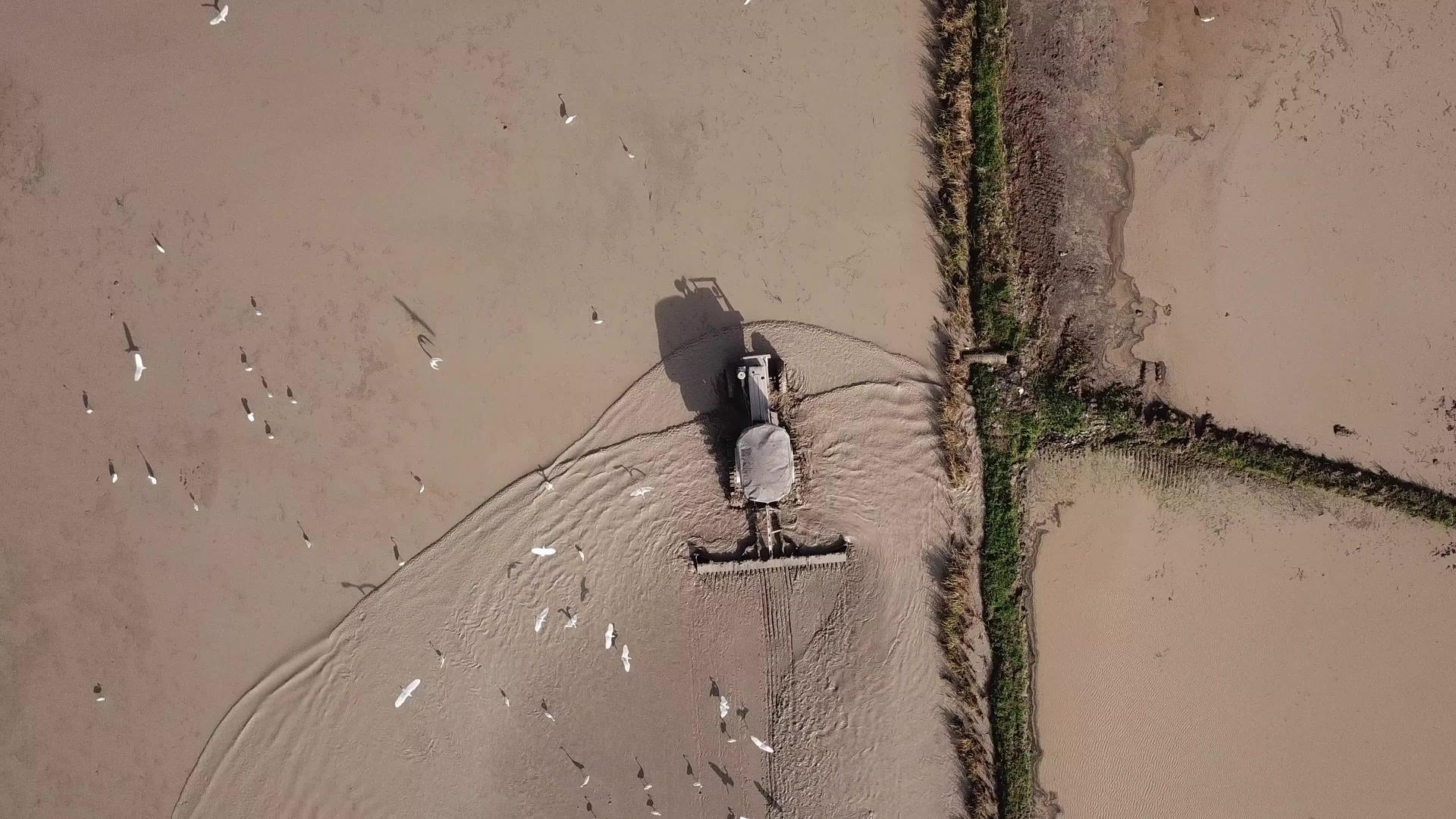 拖拉机准备在马来西亚种植稻田视频的预览图