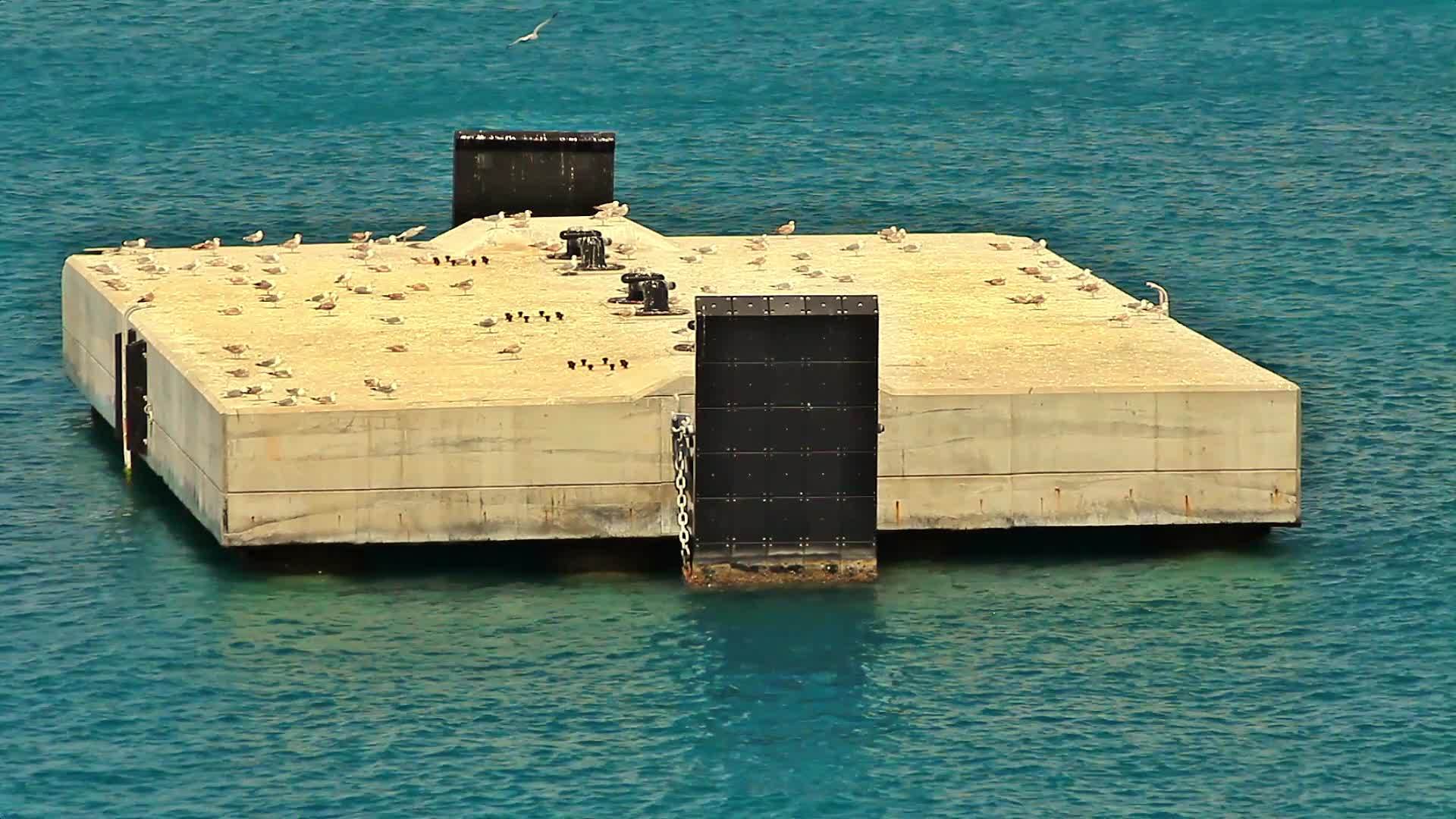 海鸥在海里飞翔海鸥停靠视频的预览图