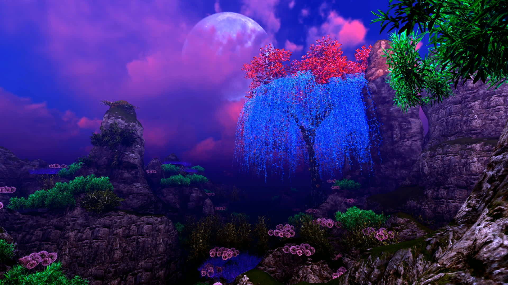 蓝树的抽象场景视频的预览图
