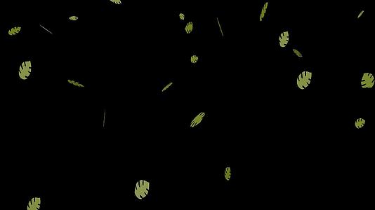 绿色叶子飘落透明背景视频素材视频的预览图
