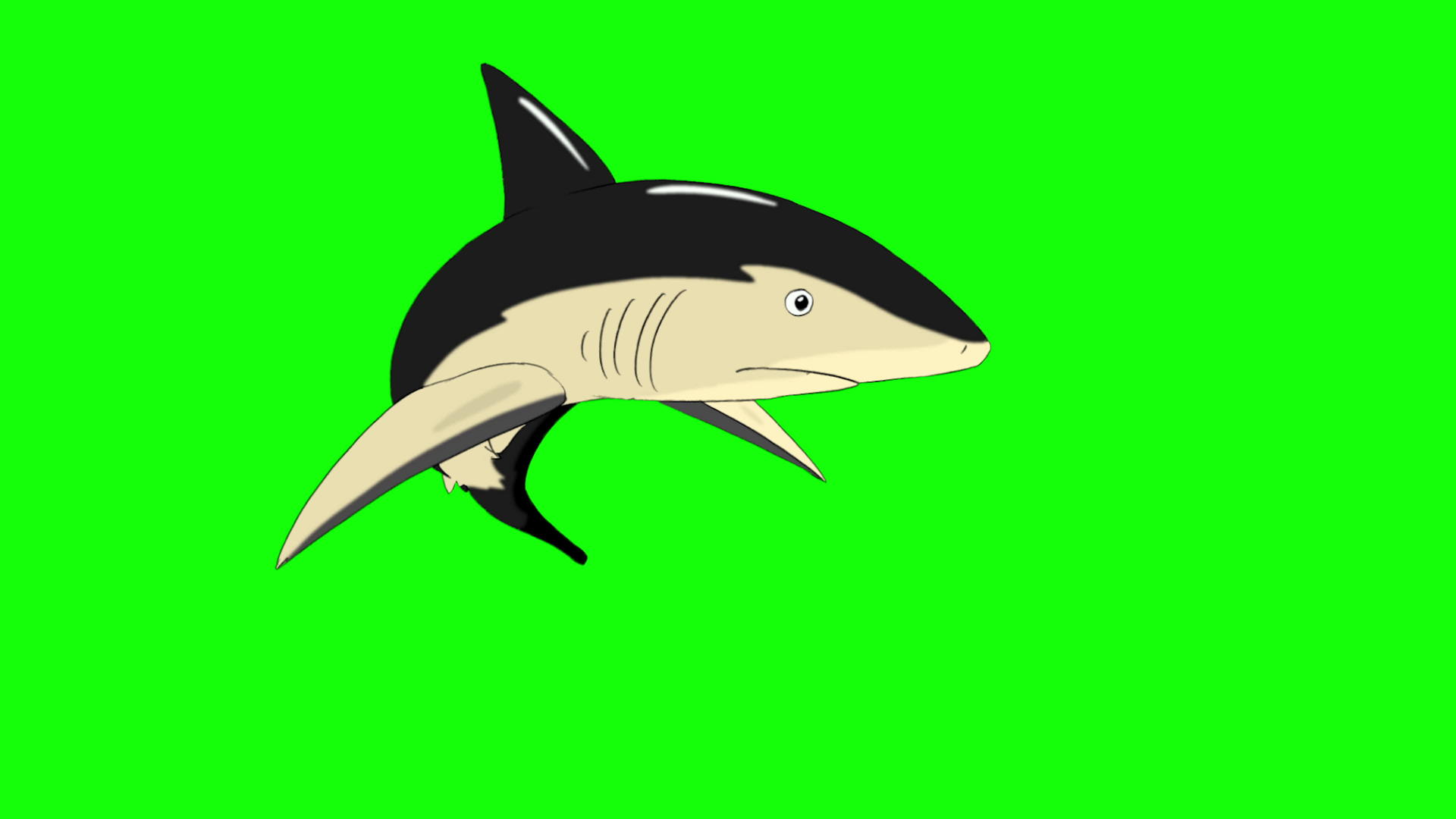 黑鲨攻击染色体密钥视频的预览图