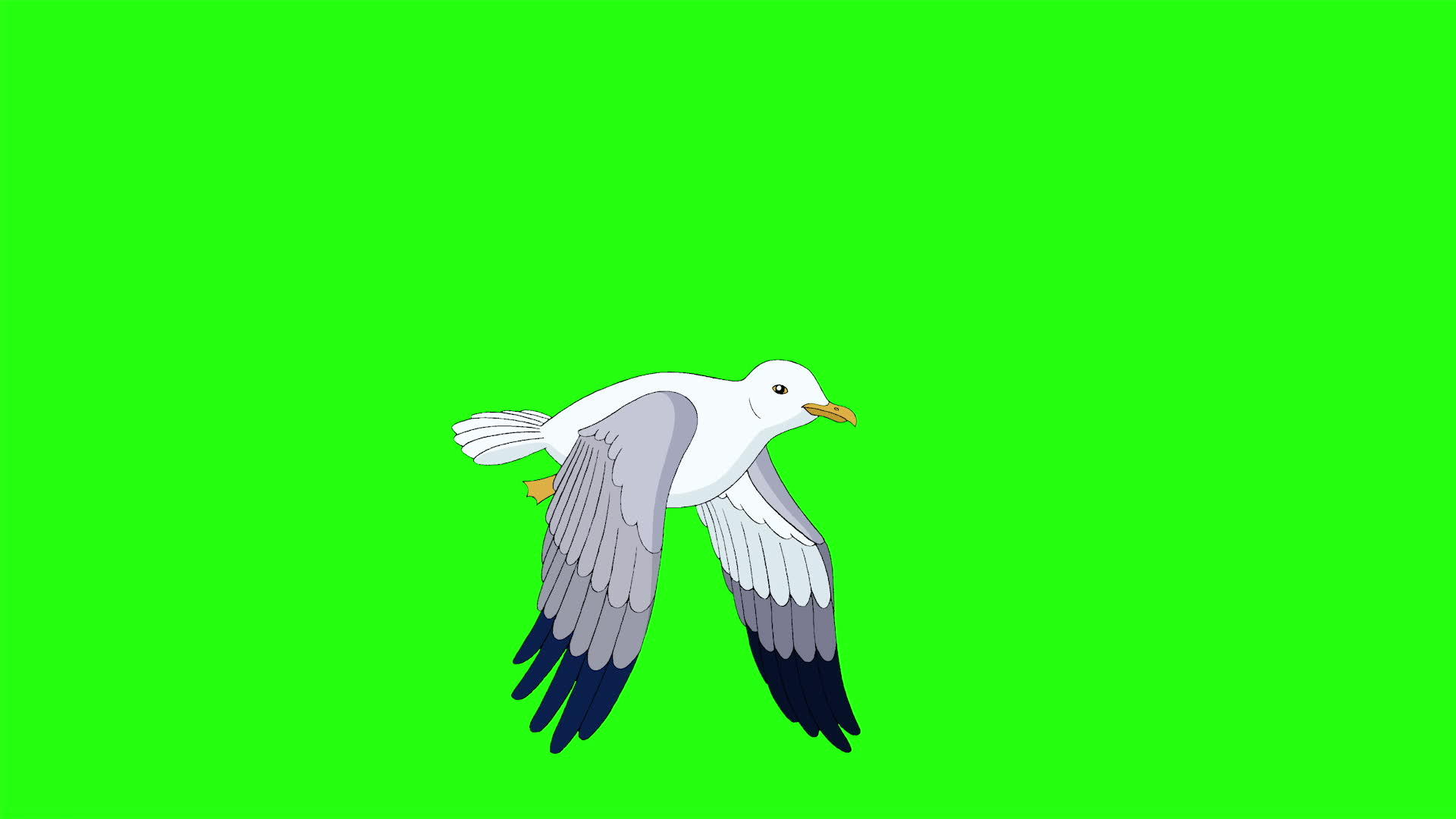海鸥在天空染色键上飞行和飞行视频的预览图