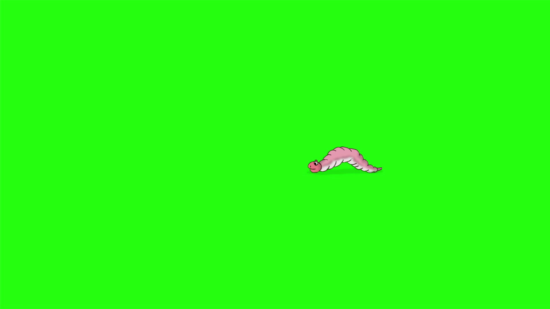 小蠕虫背靠背爬来爬去染色键视频的预览图