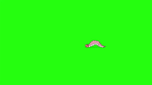 小蠕虫背靠背爬来爬去染色键视频的预览图