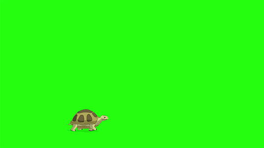 小沼泽乌龟会染色视频的预览图