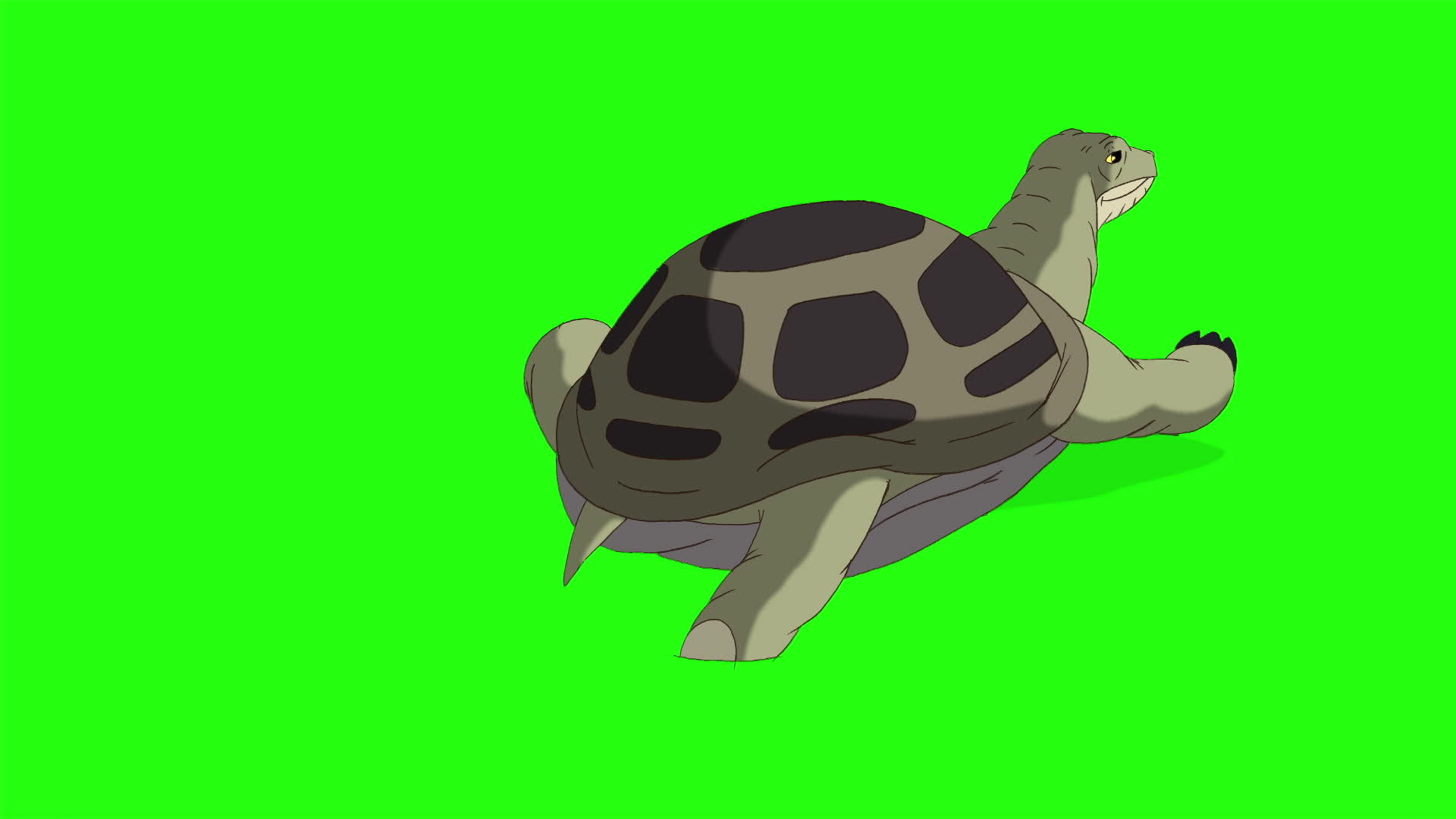 大绿海龟爬出沙子或水铬钥匙视频的预览图