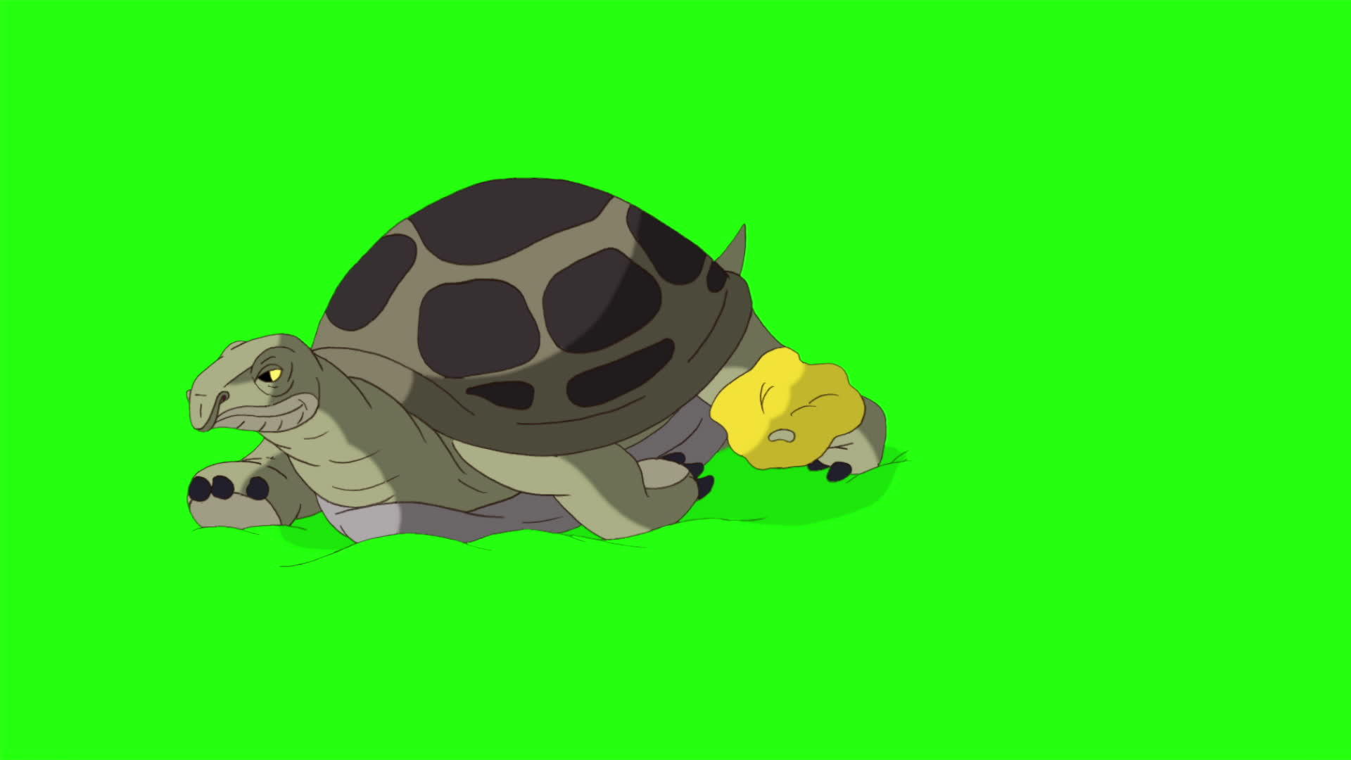 大绿龟沉积在沙色谱键中视频的预览图