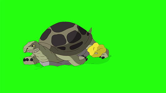 大绿龟沉积在沙色谱键中视频的预览图