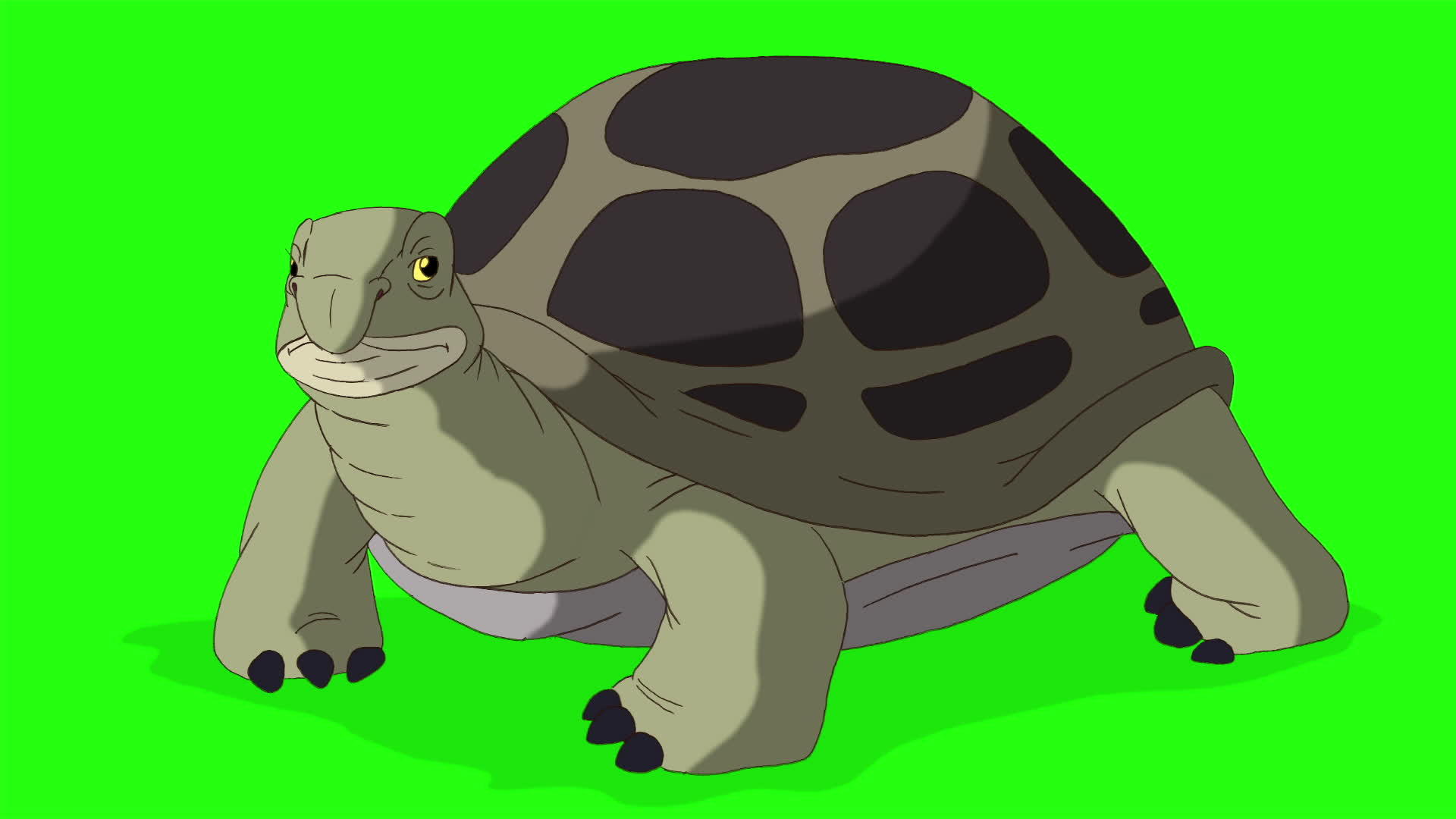 大绿海龟环顾四周视频的预览图
