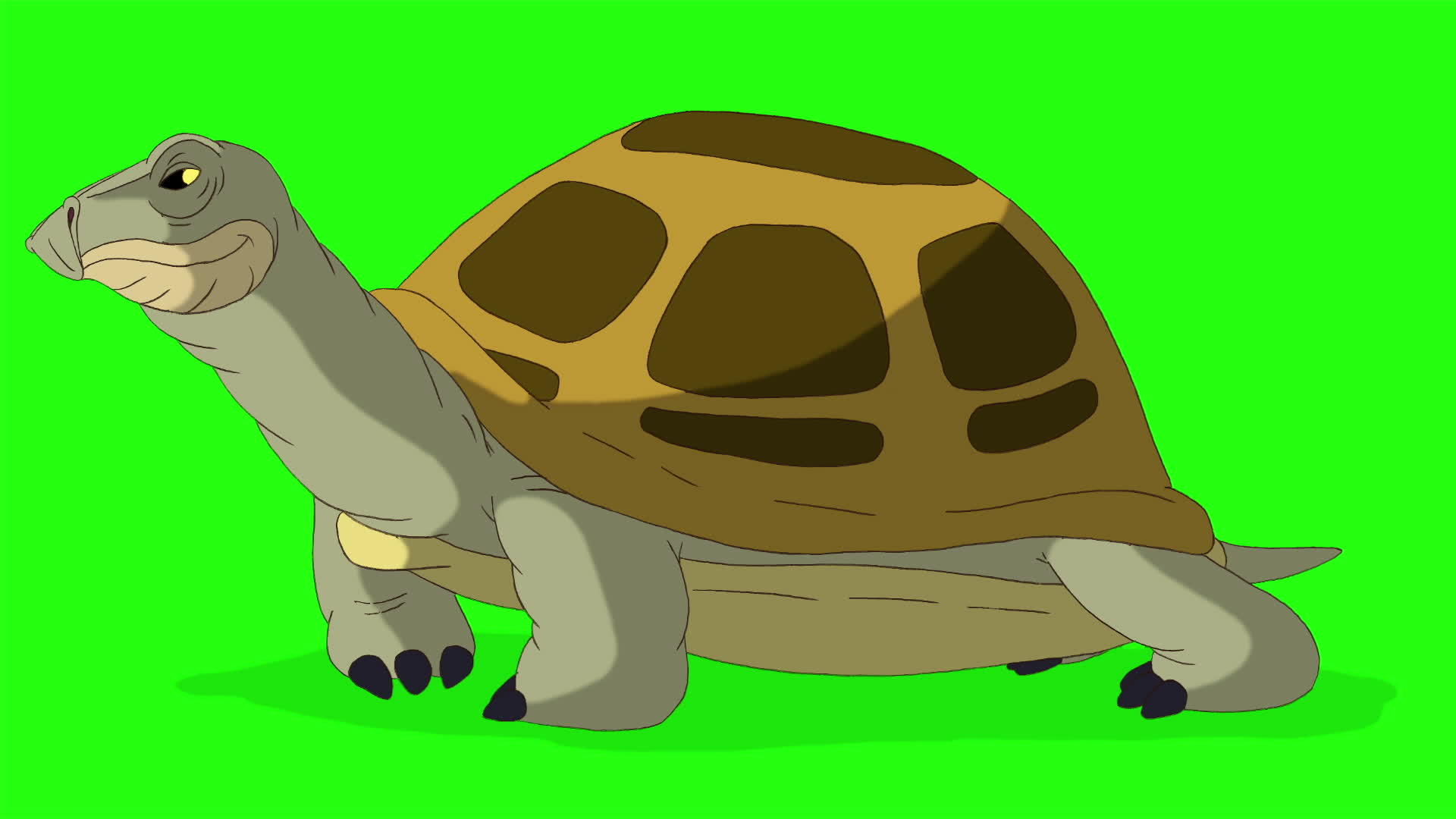 大沼泽海龟嗅探染色圈键视频的预览图