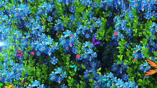 4K唯美的蓝色花海背景素材视频的预览图