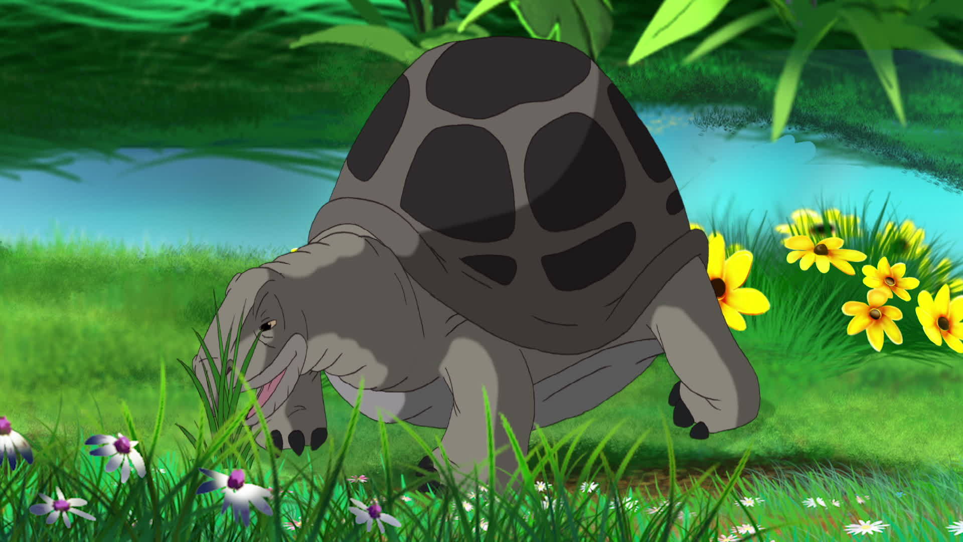 食草大灰象海龟视频的预览图
