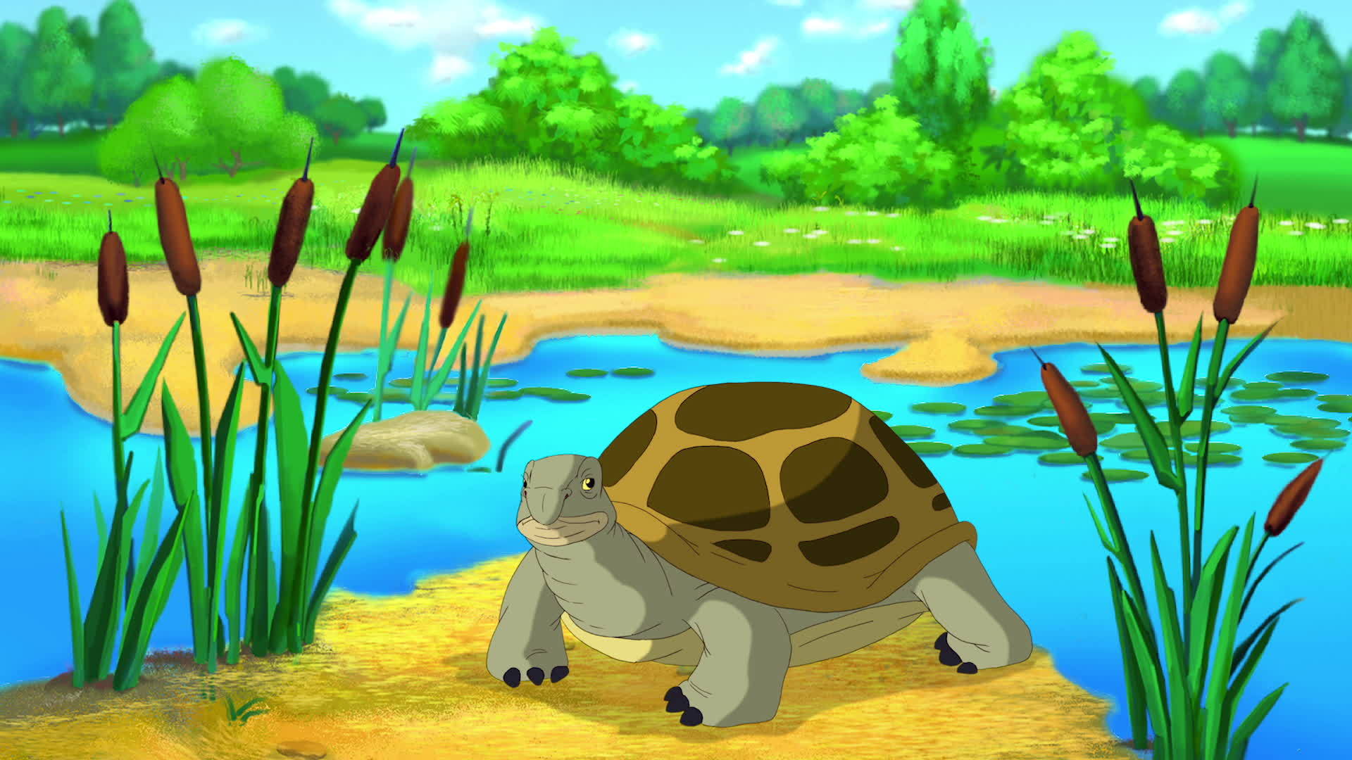 池塘附近的棕色乌龟视频的预览图