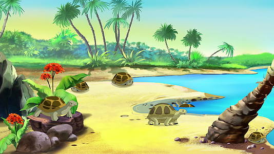 海边的棕色海龟视频的预览图