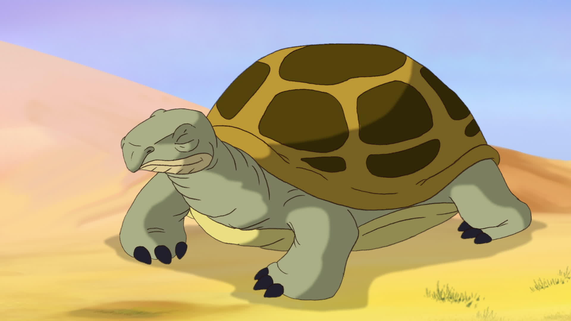 棕色的乌龟从壳里偷看躲在后面视频的预览图