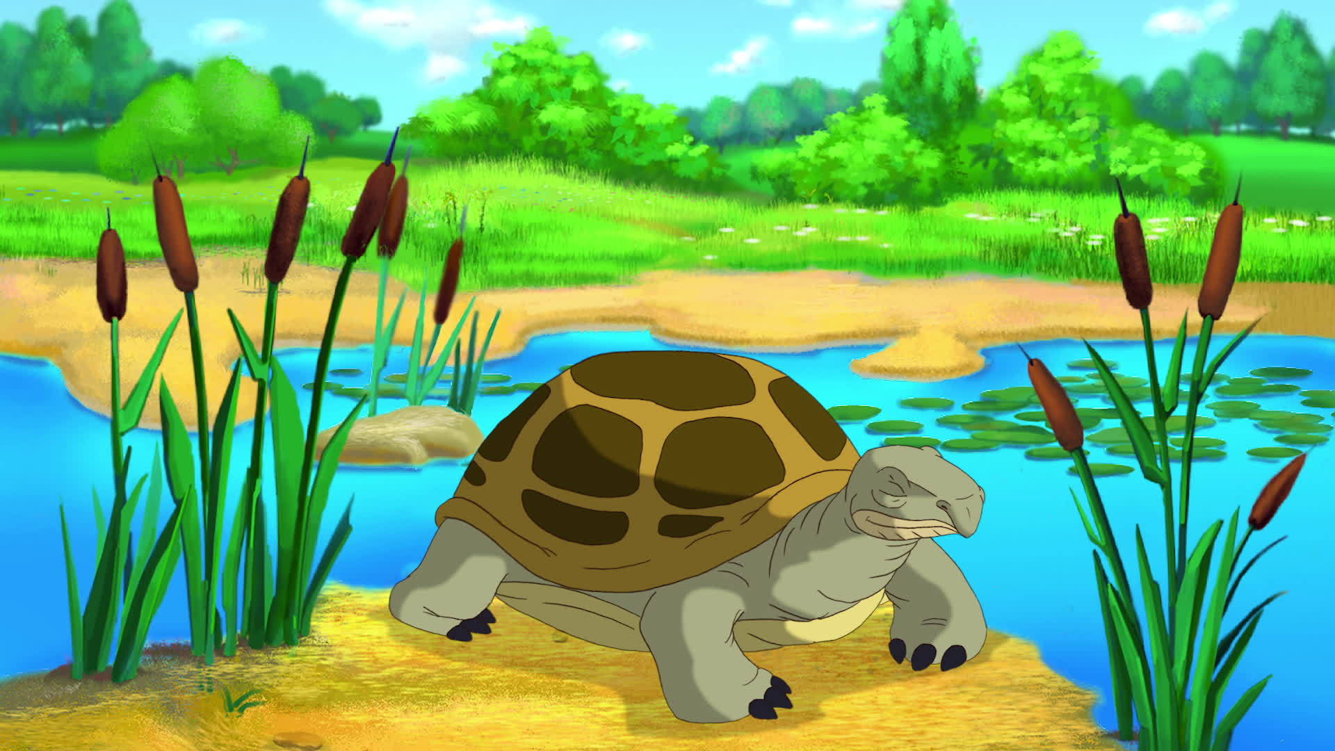 棕色的乌龟在池塘附近偷看外壳视频的预览图