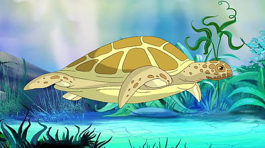 水下黄海龟视频的预览图