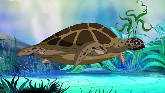 水下棕色海龟视频的预览图