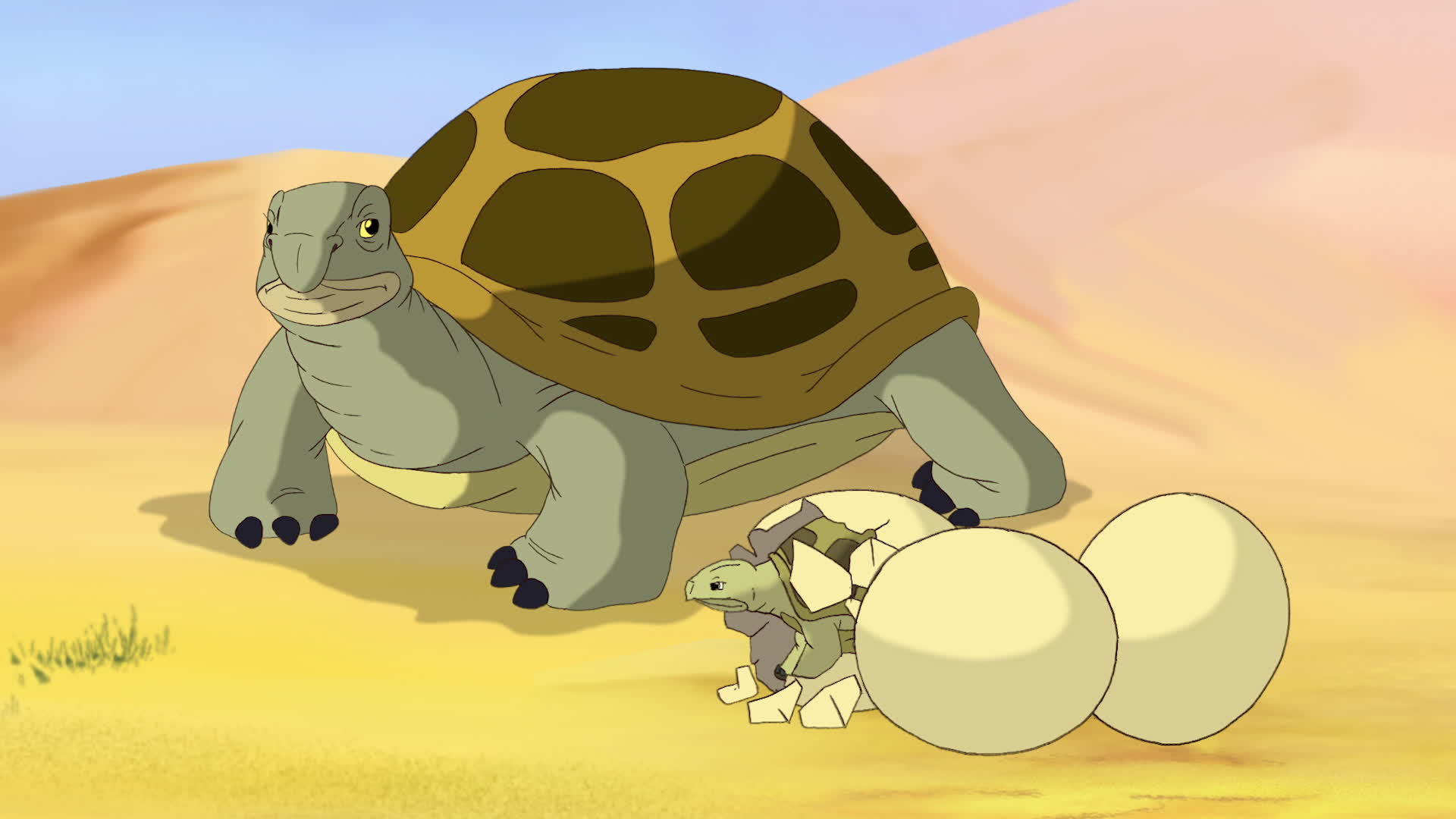 小海龟宝宝从沙漠蛋里孵出来视频的预览图
