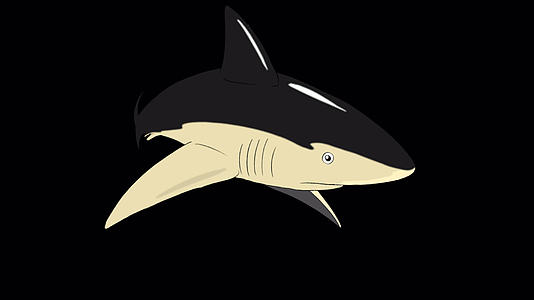 黑鲨攻击阿尔法马特视频的预览图