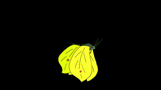 黄色蝴蝶飞向阿尔法环视频的预览图