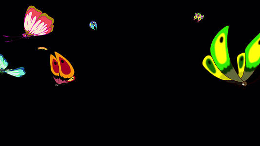 蝴蝶4k阿尔法视频的预览图